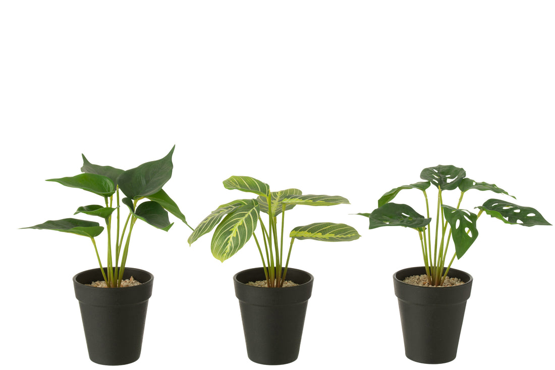 Planten In Pot Kunstmatig Groen Assortiment Van 3