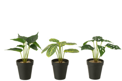 Planten In Pot Kunstmatig Groen Assortiment Van 3