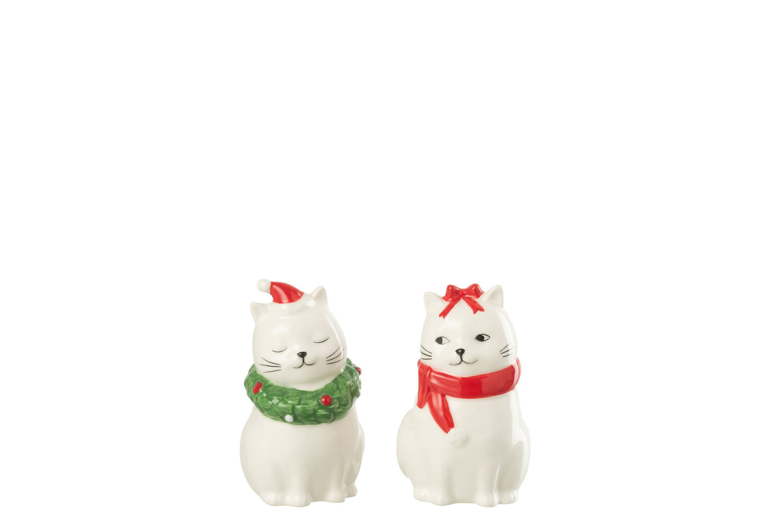 Zout &amp; Peper Katten Dolomiet Multicolor