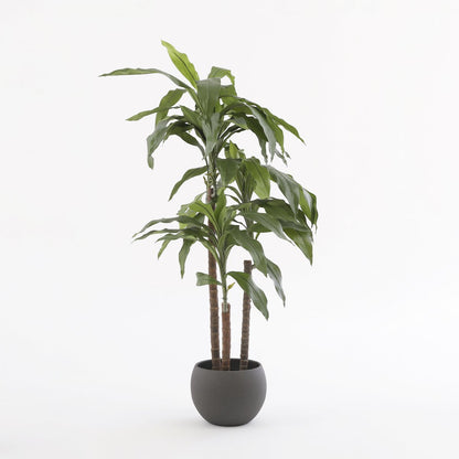 Dracaena Kunstplant - H100 x Ø70 cm