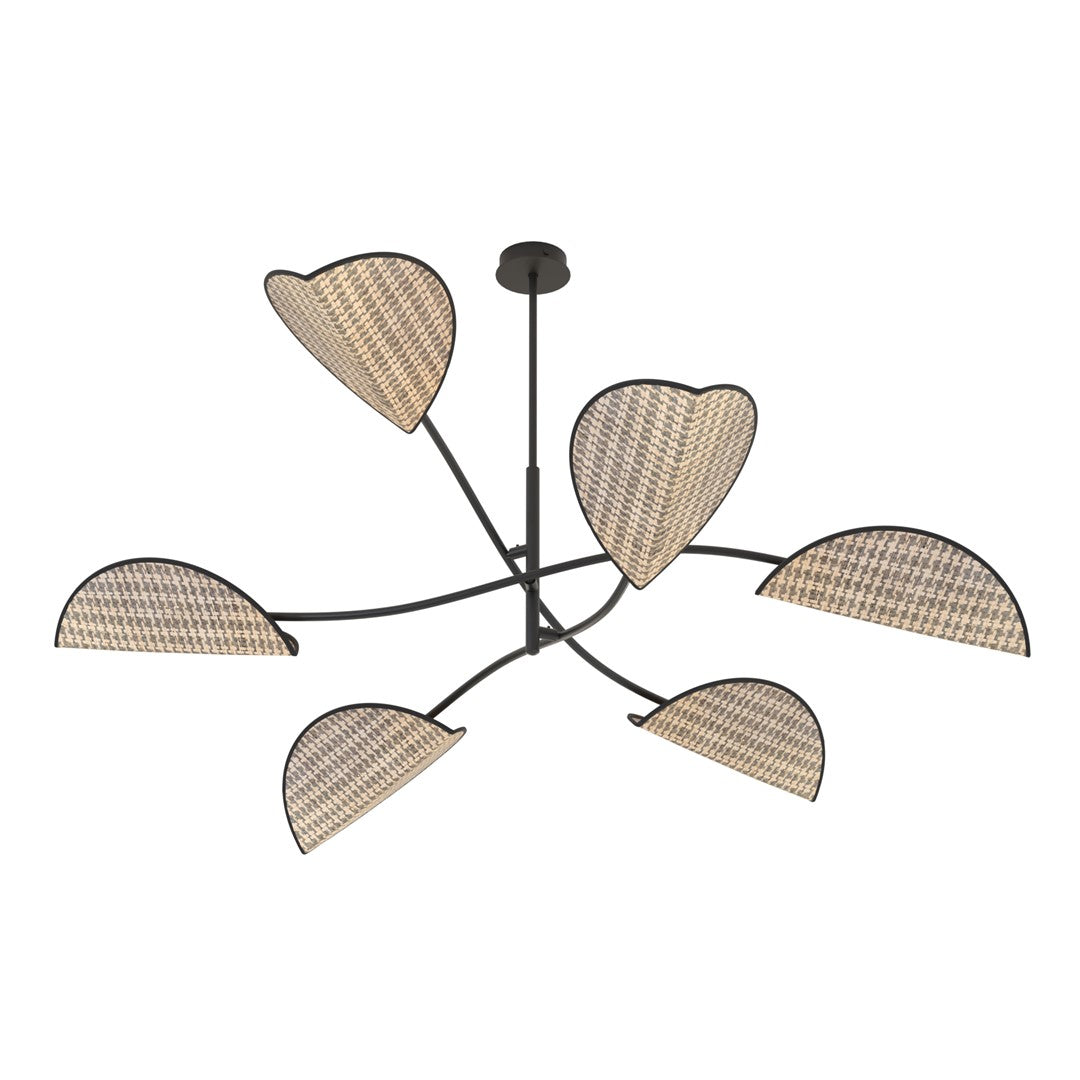 LOTUS 6 BL NATUREL