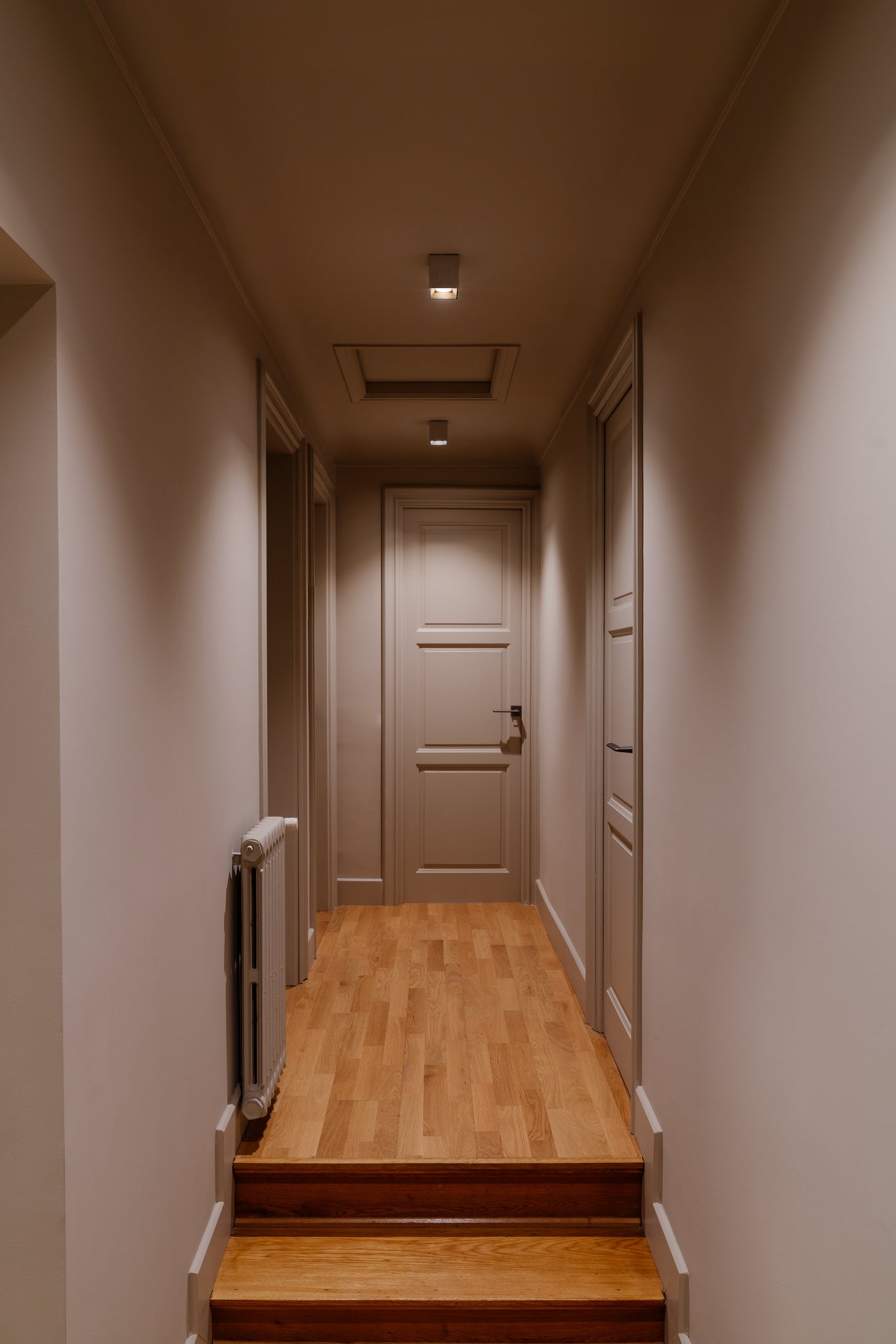 Dau 80 plafondlamp LED COB geborsteld aluminium