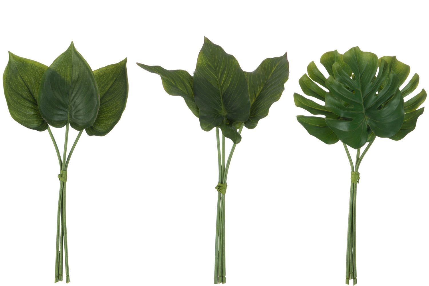 Philodendron bundel plastic groen assortiment van 3