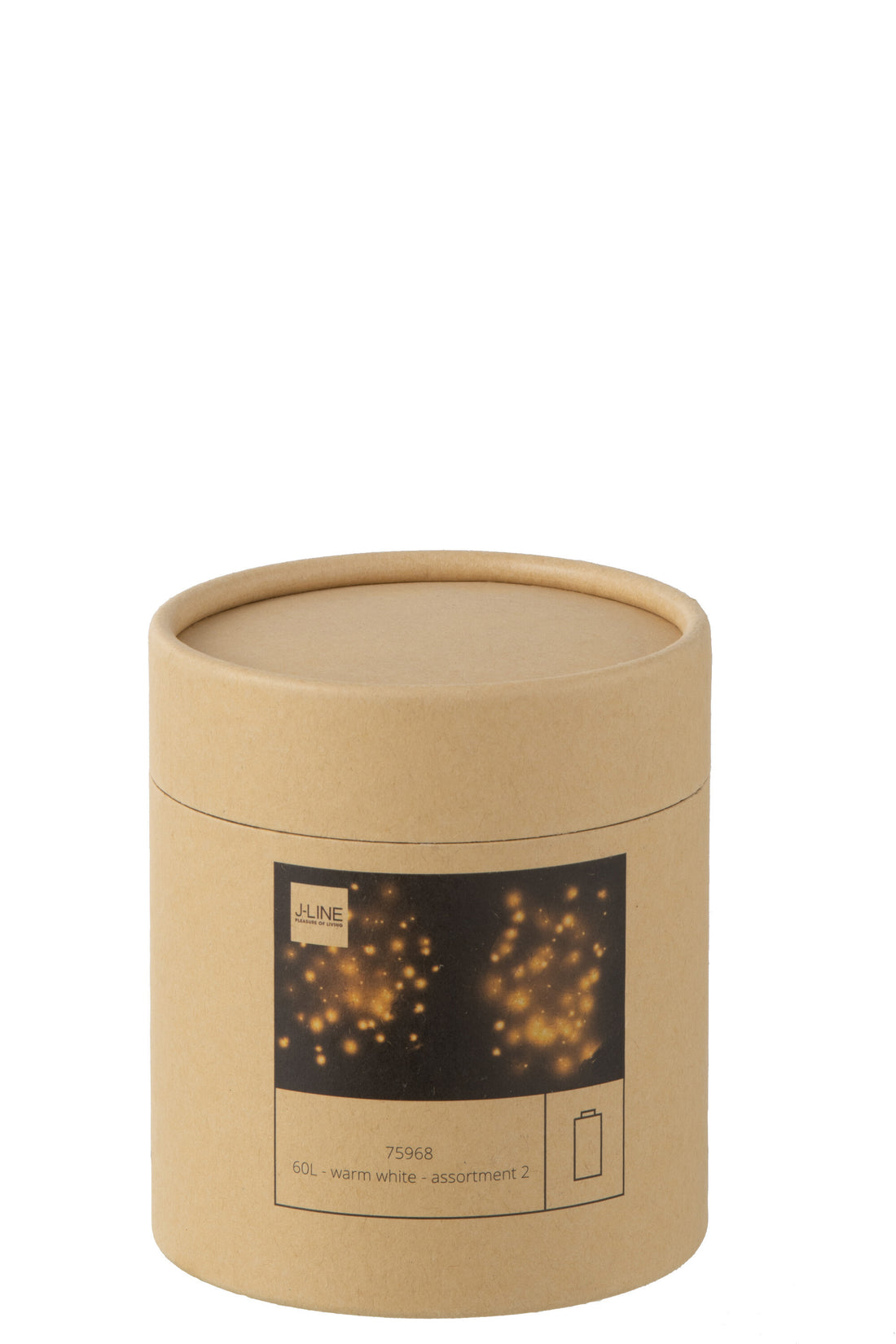 Cadeaubox 2 Kerstverlichting Draad Goud/Zilver 60Led Warm Wit Batterij