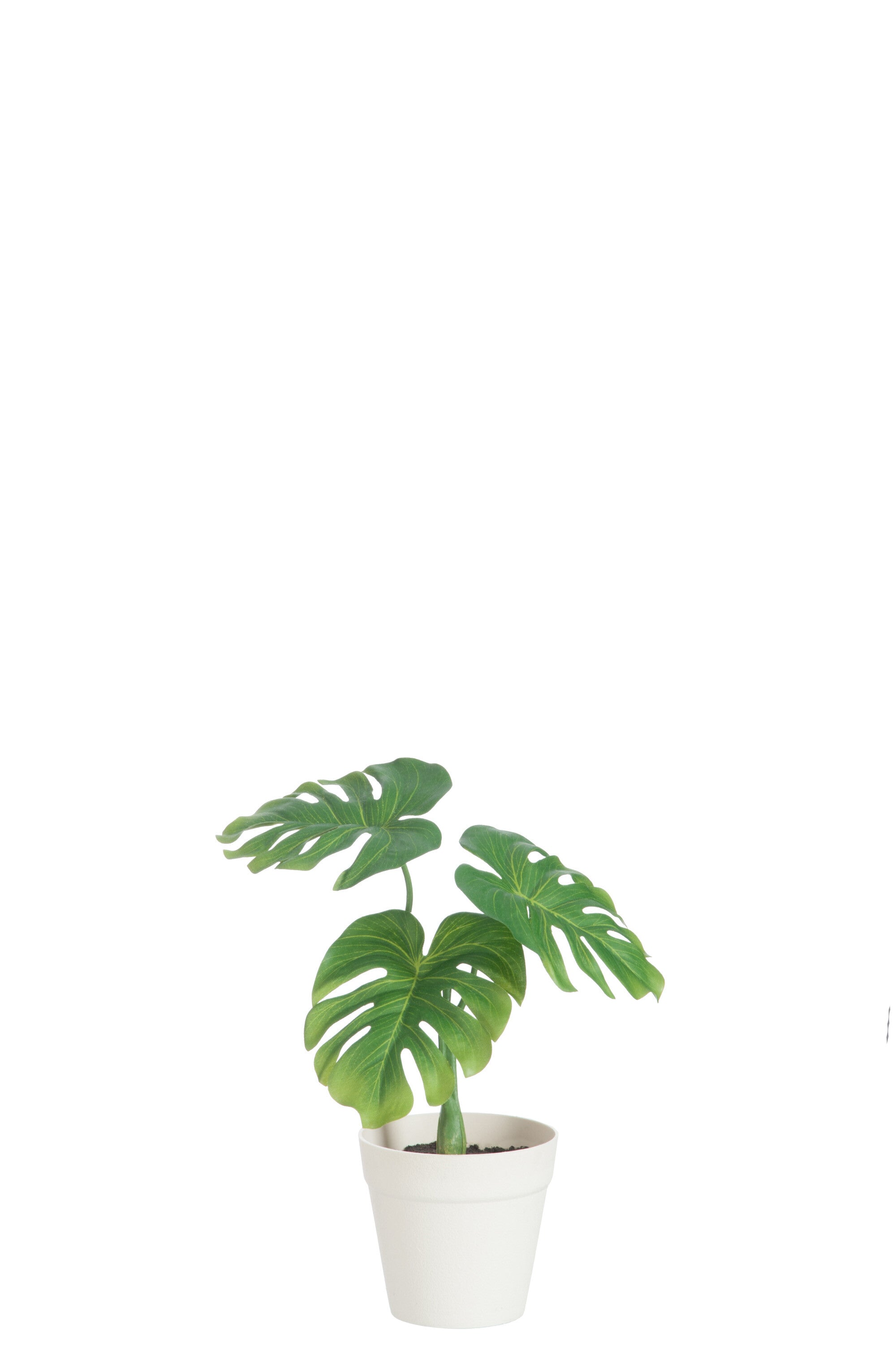 J-Line Blad Philo In Pot Plastiek Groen/Wit Small