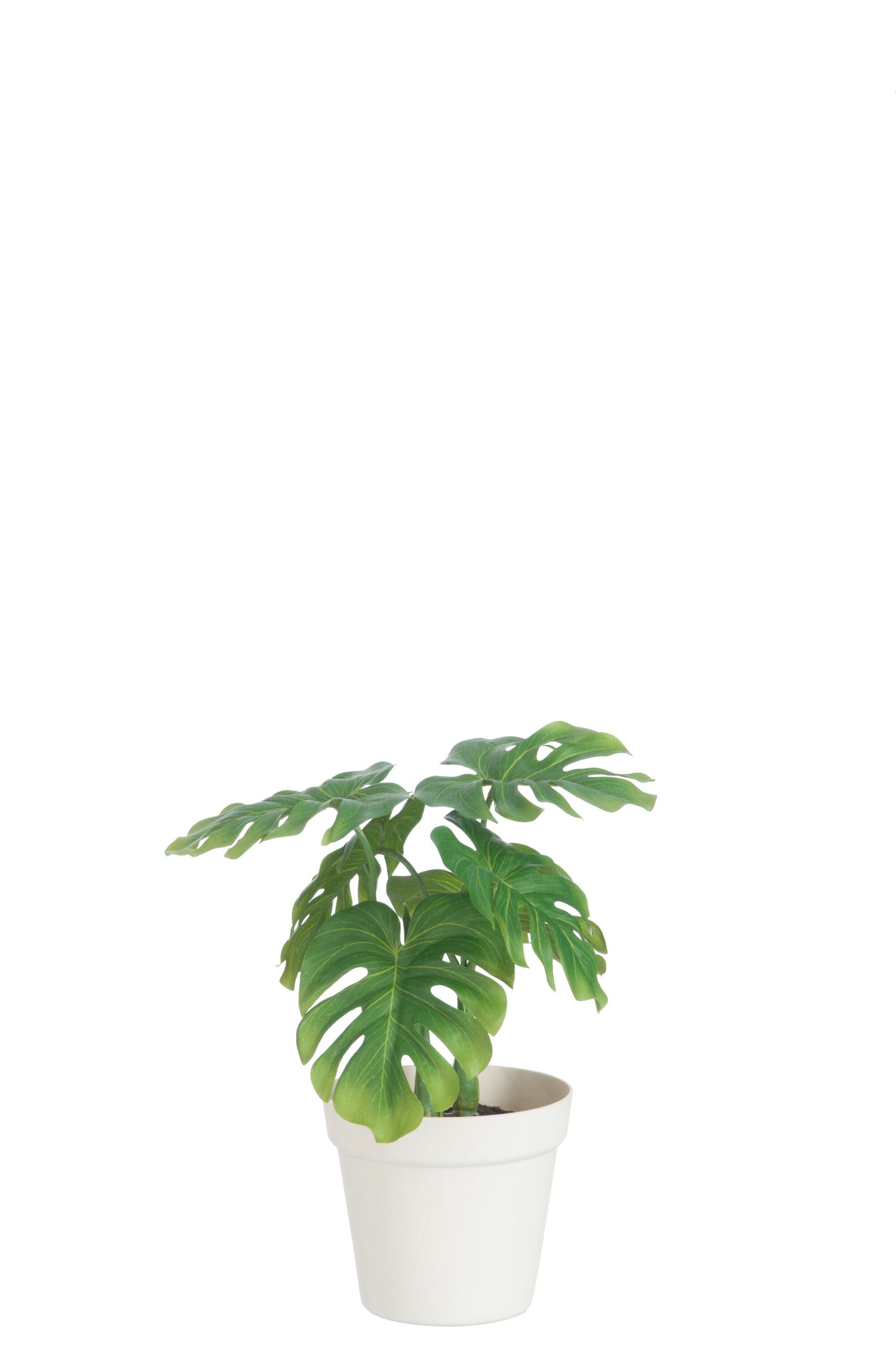 J-Line Blad Philo In Pot Plastiek Groen/Wit Medium
