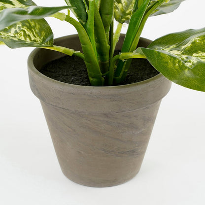 Dieffenbachia Kunstplant in Bloempot Stan - H40 x Ø30 cm - Groen