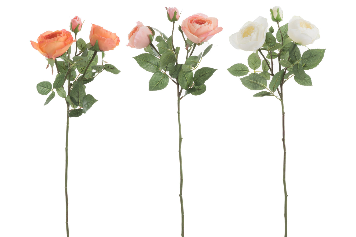 Rozenbos Verse Touch Plastic Oranje/Wit Mix L Assortiment Van 3