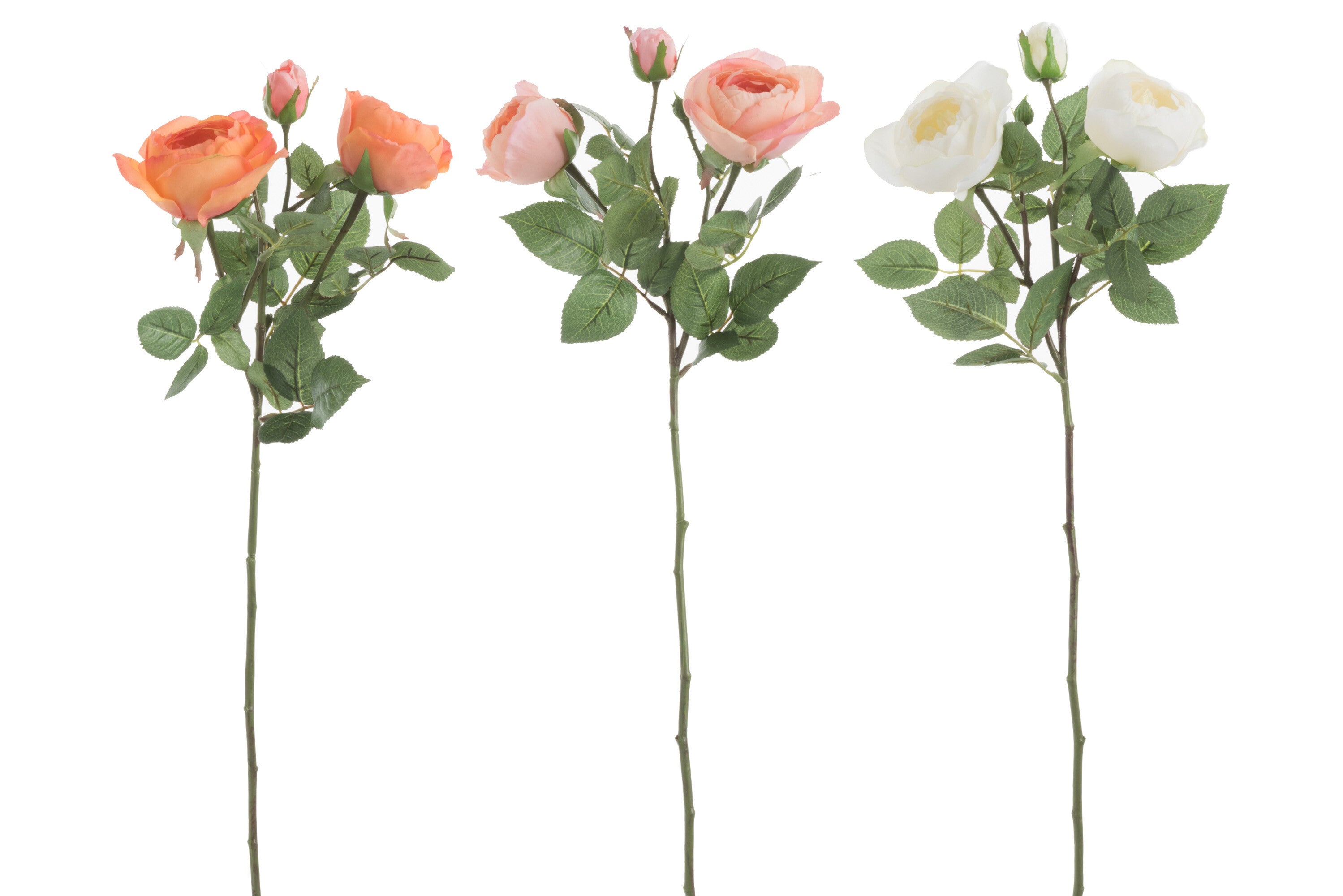 Rozenbos Verse Touch Plastic Oranje/Wit Mix L Assortiment Van 3