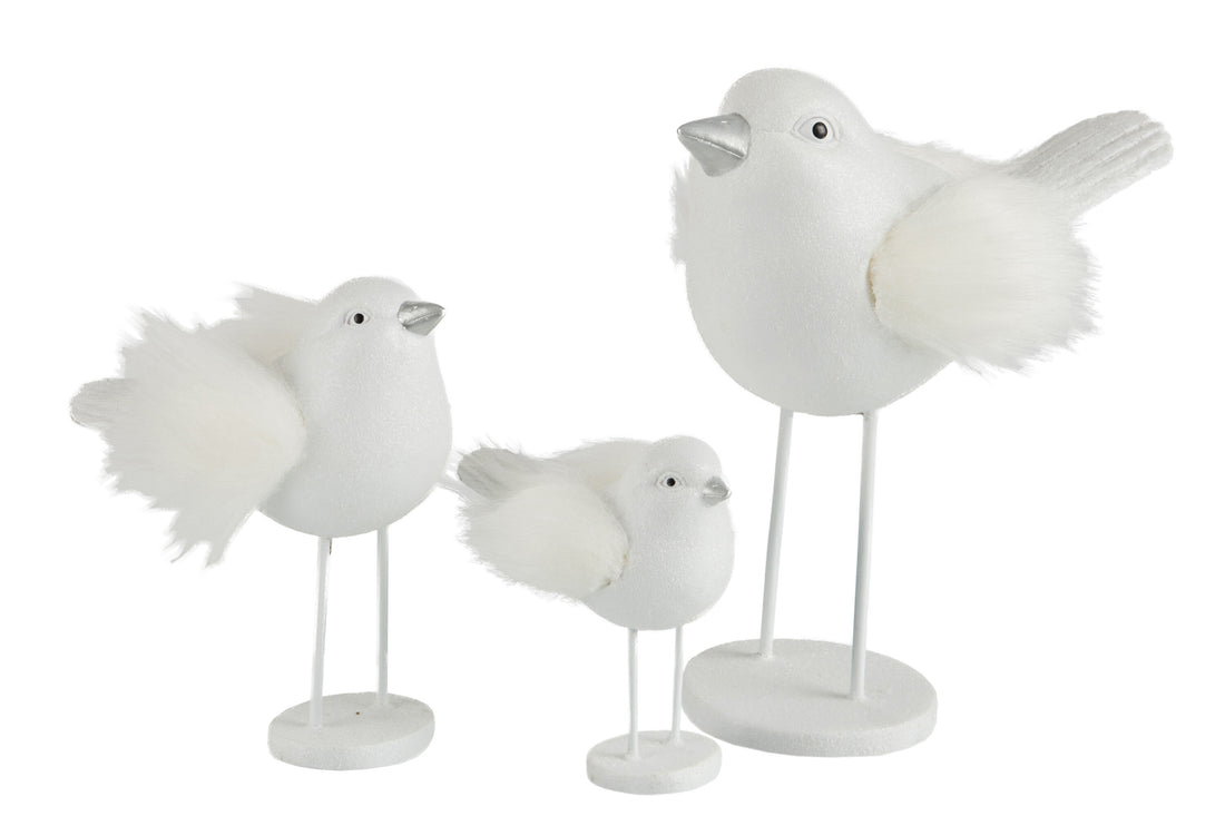 Vogel Poly/Nepbont Wit Groot