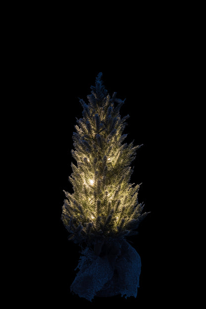 J-Line Christmas Tree+Led+Pot Jute Plastic Snowy Green Medium