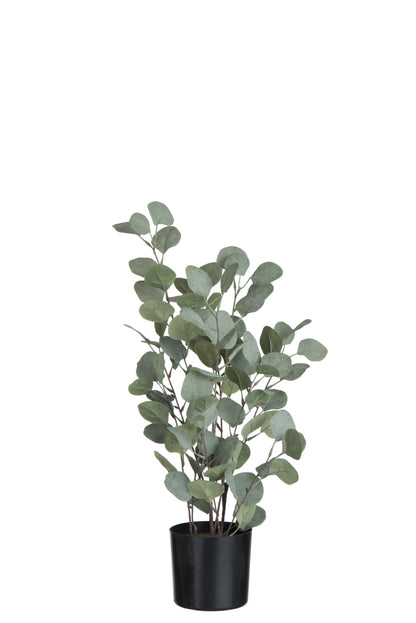 J-Line Eucalyptus In Pot Plastiek Groen Large