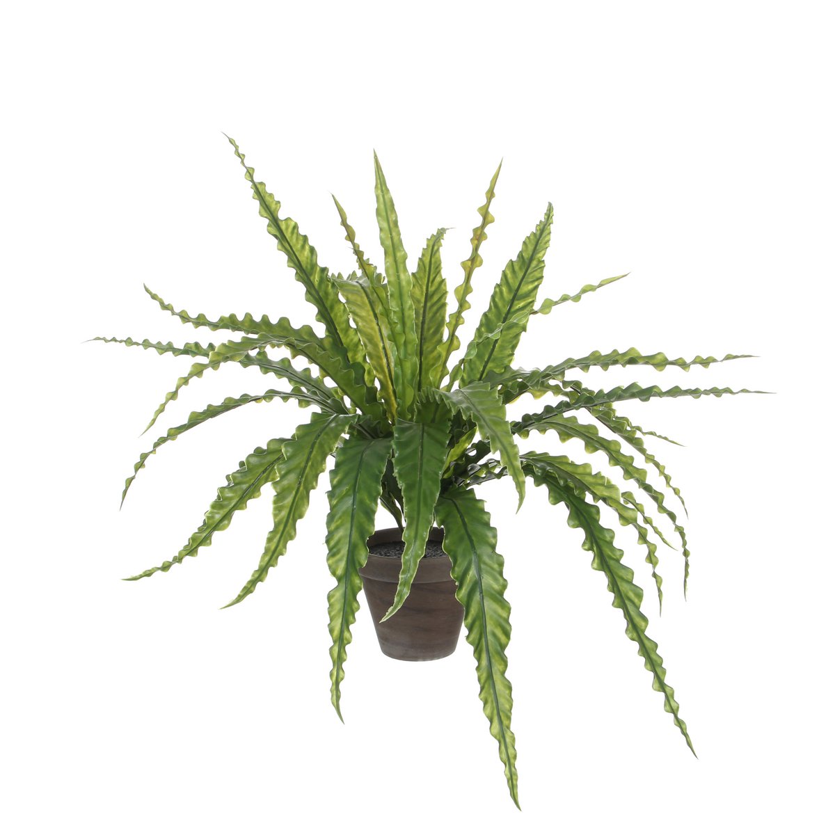 Asplenium Kunstplant in Bloempot Stan - H54 x Ø66 cm - Groen