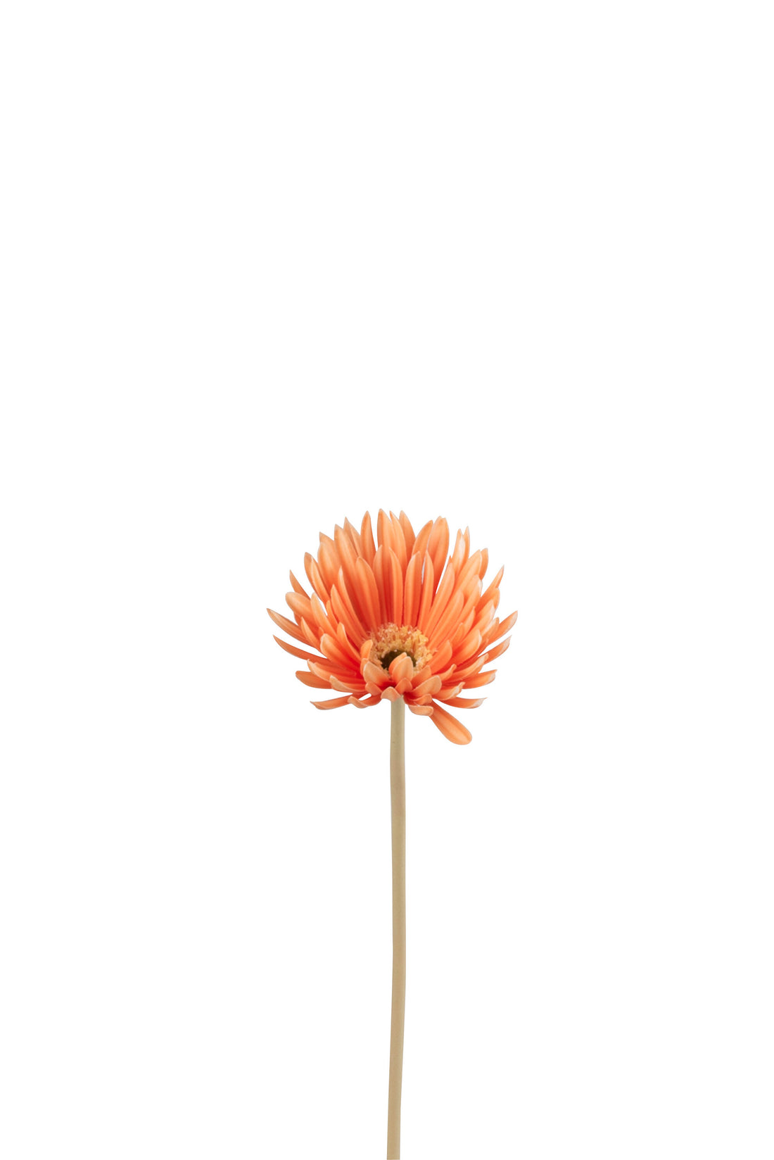 J-Line Gerbera Maagd Kunststof Oranje