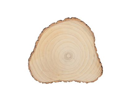 Schijf Onregelmatig Paulownia Schors Natuurlijk Groot