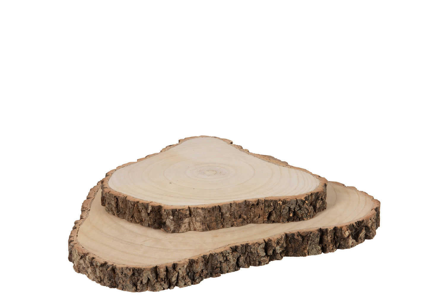 Schijf Onregelmatig Paulownia Schors Natuurlijk Groot