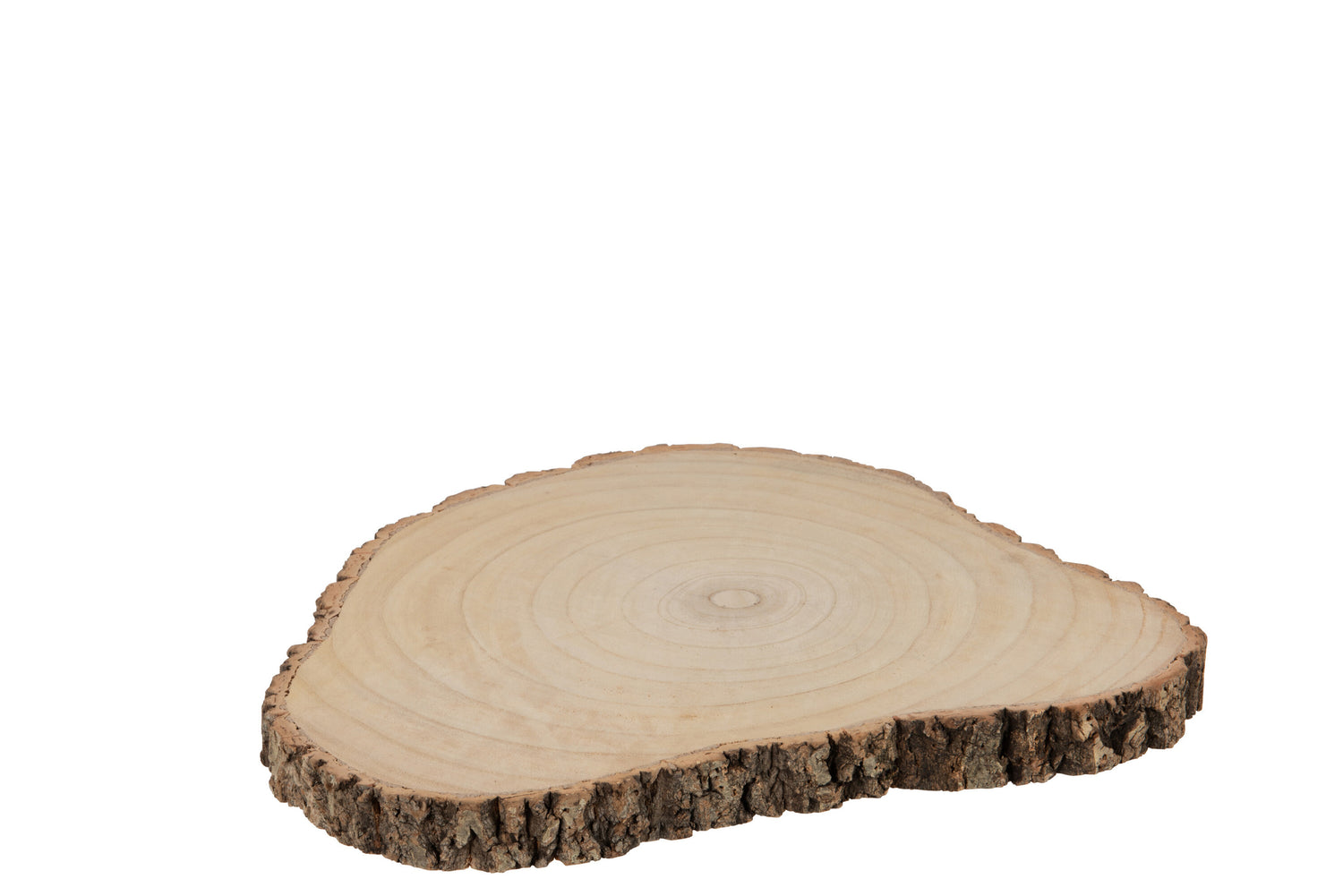 Schijf Onregelmatig Paulownia Schors Natuurlijk Groot