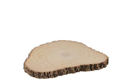 Schijf Onregelmatig Paulownia Schors Natuurlijk Groot