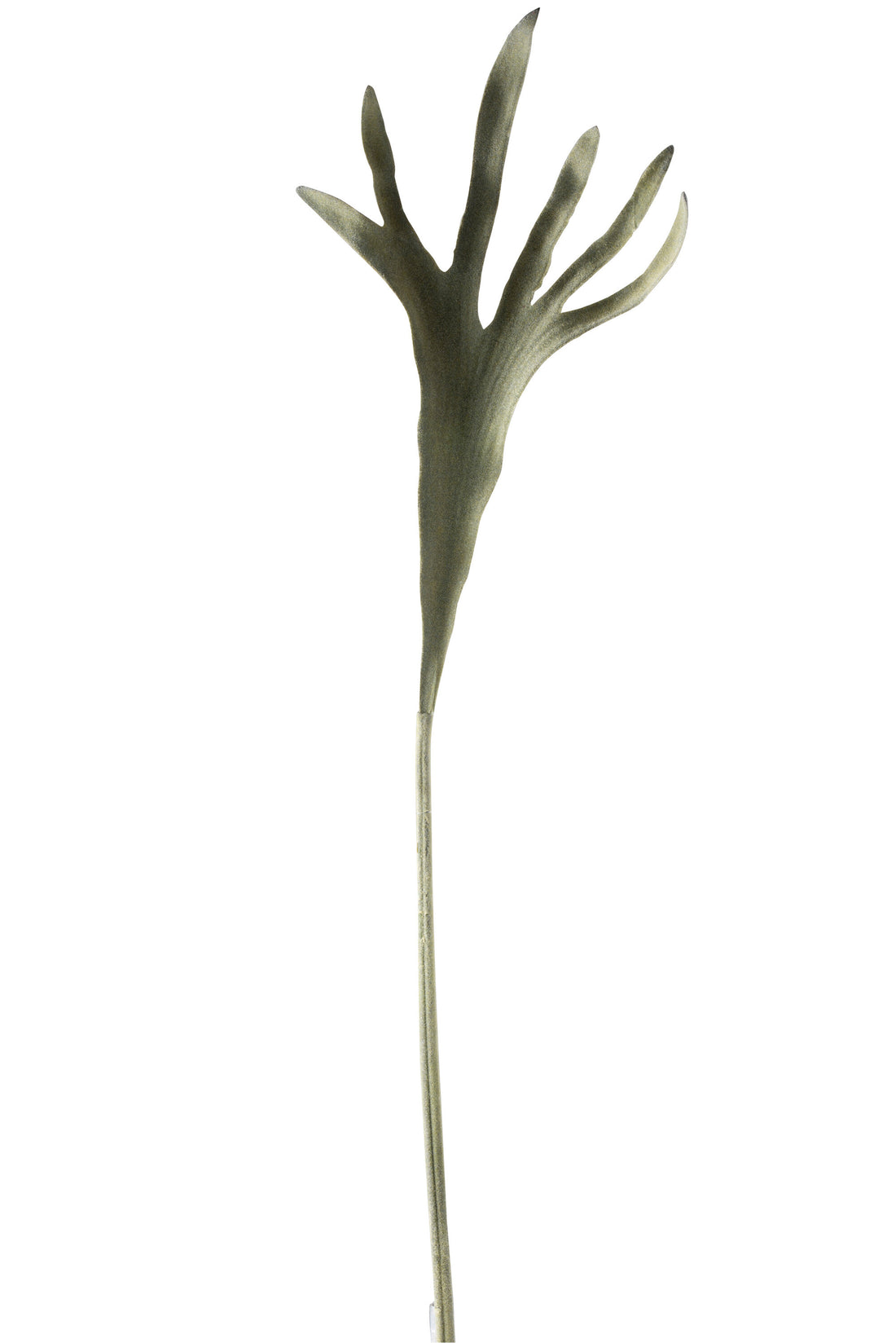 Takhoorns Plastic Mat Groen