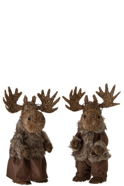 Elk Staande Stro Bruin Groot Assortiment Van 2