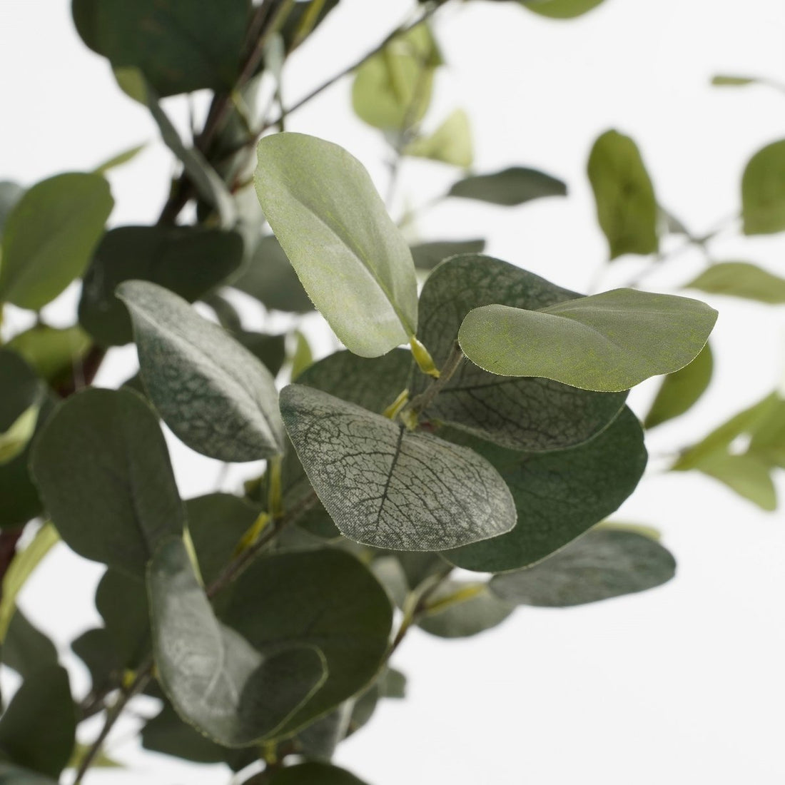 Kunstplant Eucalyptusboom in Pot - H180 x Ã˜80 cm - Groen