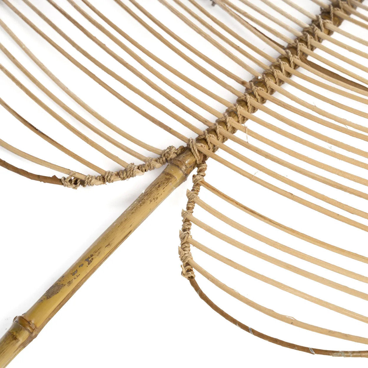 La Monstera in Rattan - Naturale