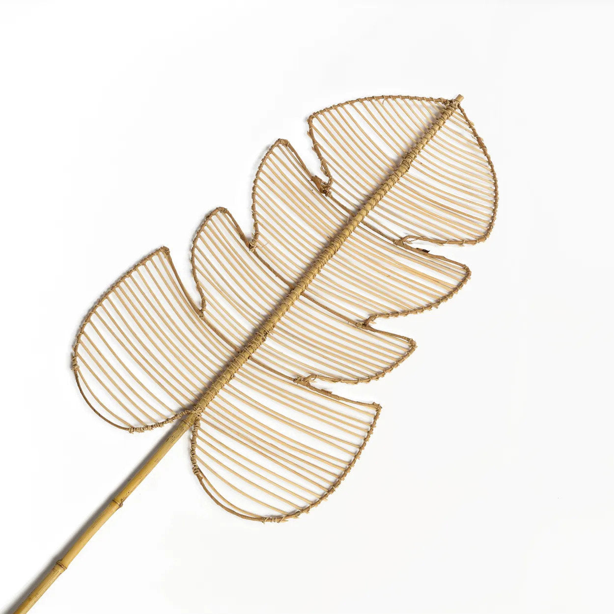 La Monstera in Rattan - Naturale