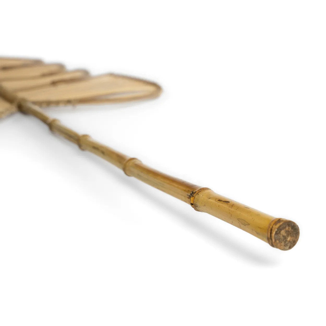 La Monstera in Rattan - Naturale