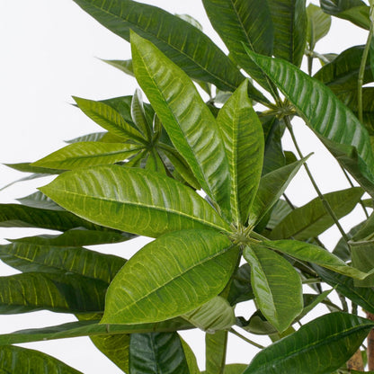 Pachira Kunstplant - H150 x Ã˜65 cm - Groen