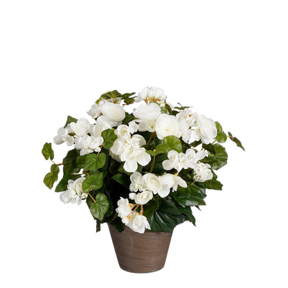 Begonia Kunstplant in Bloempot Stan - H37 x Ø36 cm - Wit