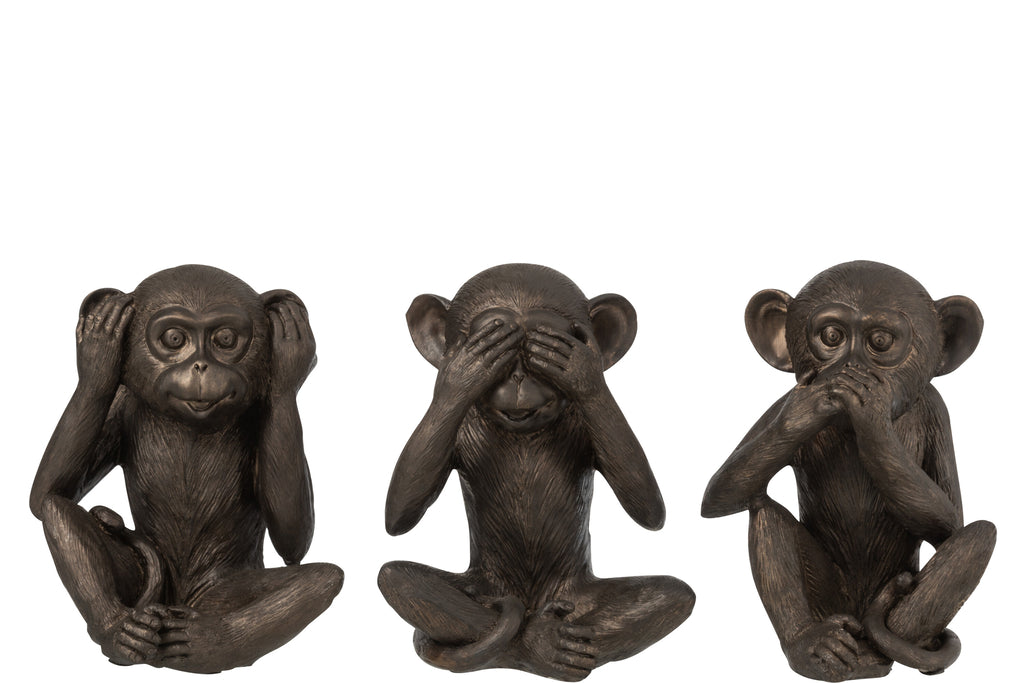 Aap Zie/Hoor/Spreek Geen Kwaad Poly Bruin Groot Assortiment Van 3