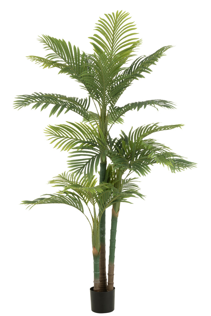 Areca Palmboom Pot kunststof Groen