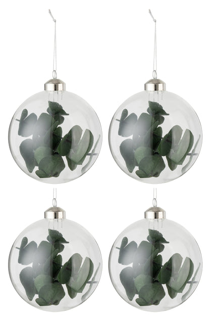 J-Line Box Of 4 Christmas Baubles Dried Eucalyptus Green Glass Transparent Medium