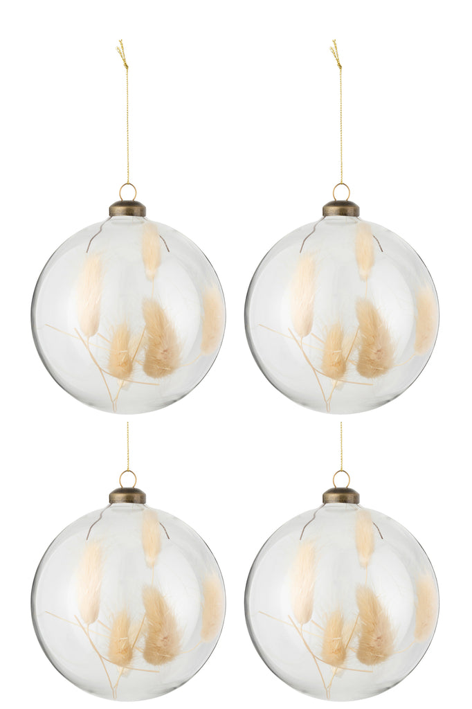 J-Line Box Of 4 Christmas Baubles Round Orb Dried Haretail Beige Transparent Large
