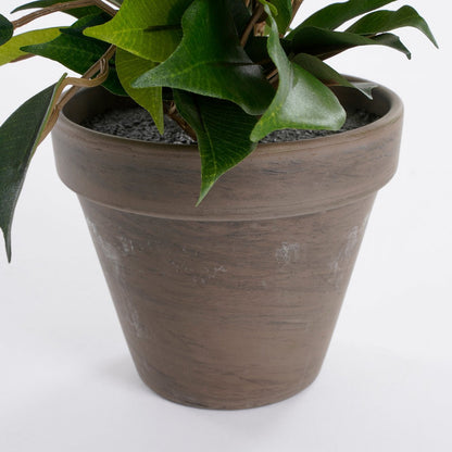 Ficus Natasja Kunstplant in Bloempot Stan - H40 x Ø30 cm - Groen