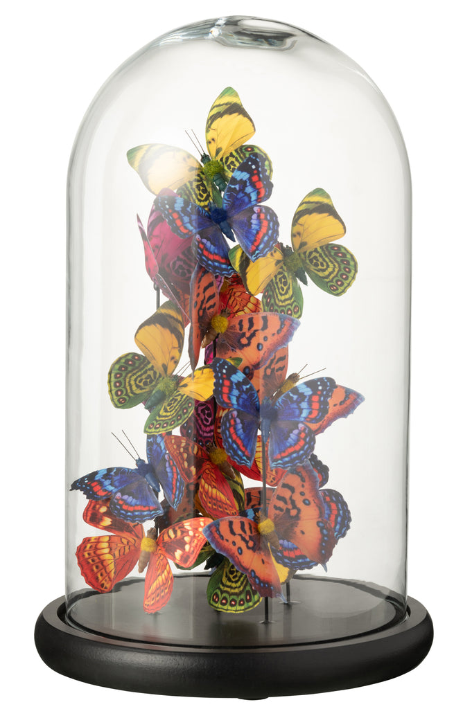 Bel Jar Vlinders Glas/Papier Mix Groot