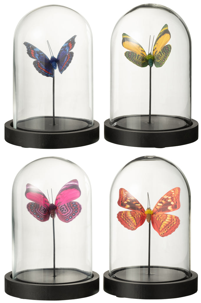 Bel Jar Vlinder Glas/Papier Mix Kleine Assortiment Van 4