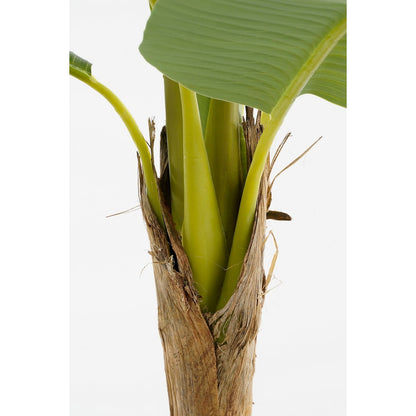 Kunstplant Bananenboom in Pot - H155 x Ã˜90 cm - Groen