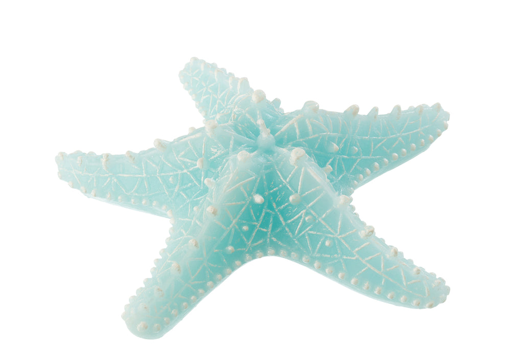 Kaars Zeester Vis Wax Azuurblauw Groot-3Uren