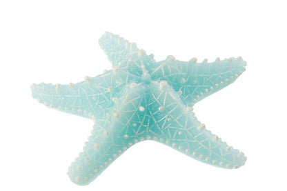 Kaars Zeester Vis Wax Azuurblauw Groot-3Uren