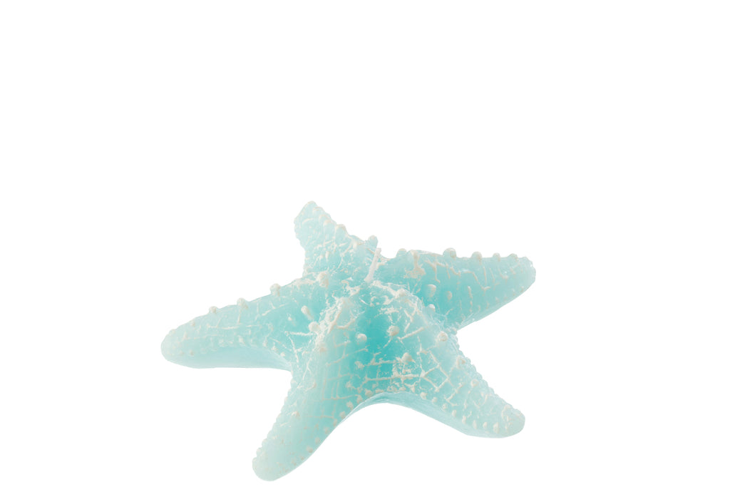 Kaars Zeester Vis Wax Azuurblauw Klein-2Uren