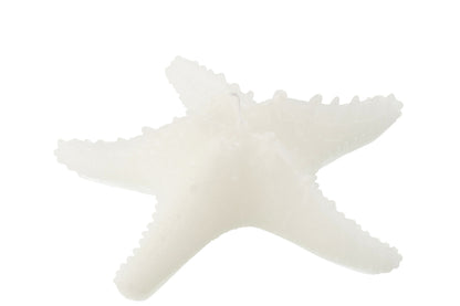 Candle Star Fish Wax White Large-3Hours