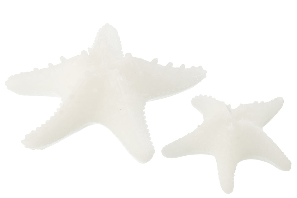 Candle Star Fish Wax White Large-3Hours