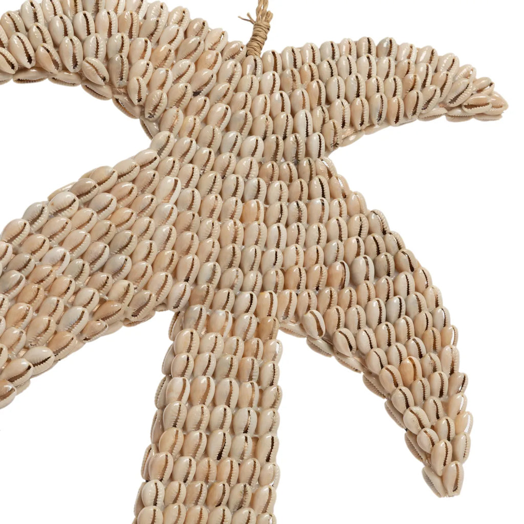 De Schelpen Palmboom - Naturel