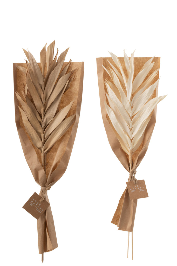 Dried Leaves 2 Pieces Natural Small, set of 2