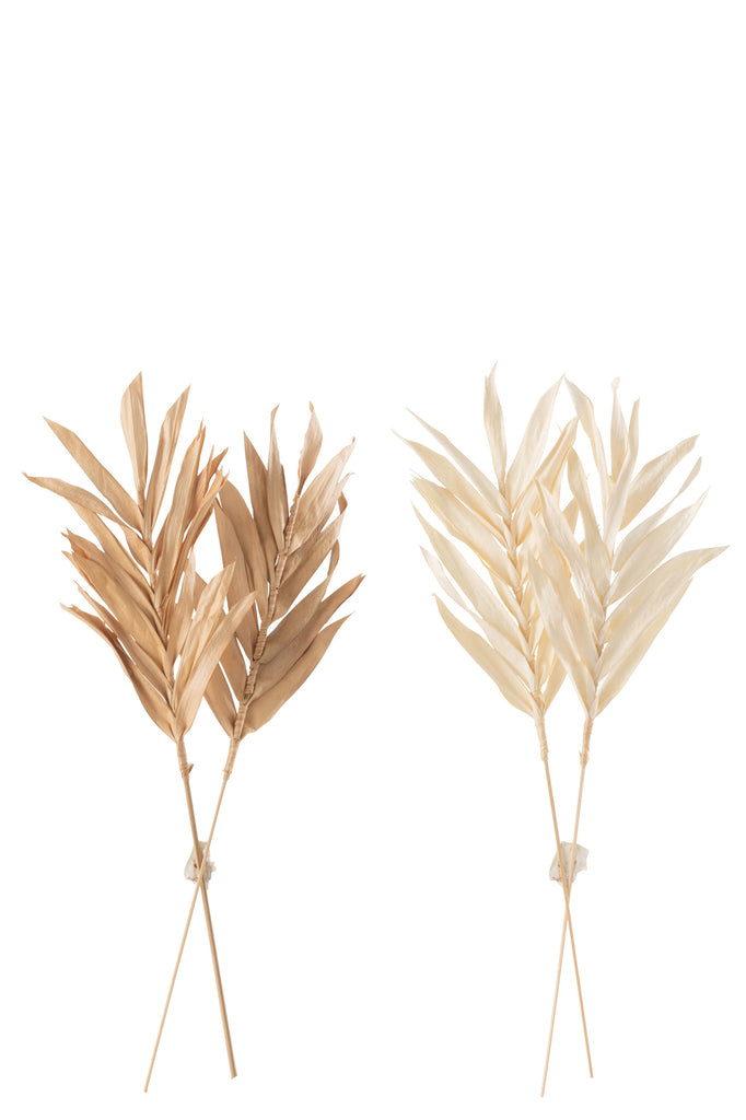 Dried Leaves 2 Pieces Natural Small, set of 2