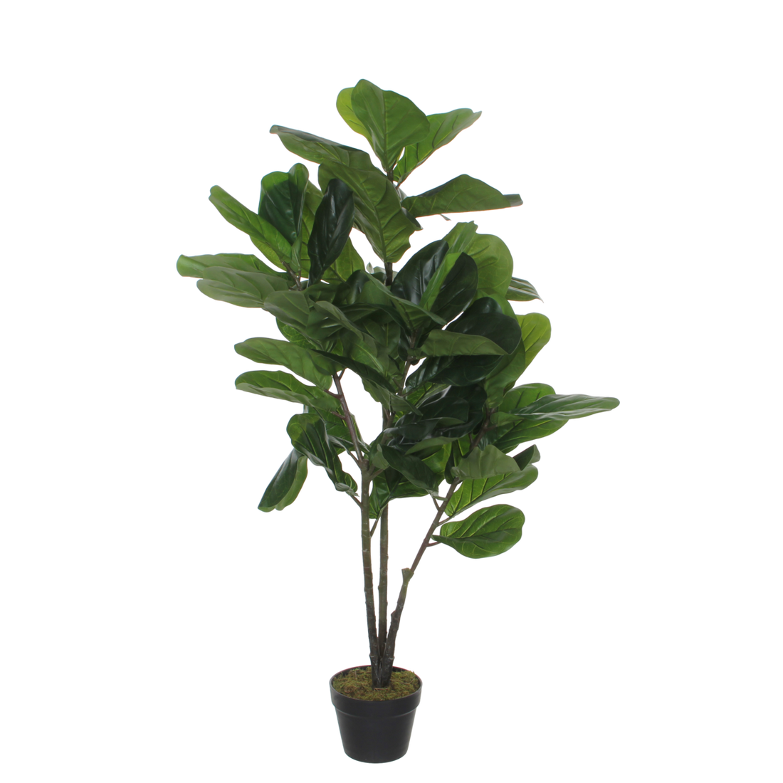 Ficus Lyrata Kunstplant - H120 x Ø60 cm - Groen