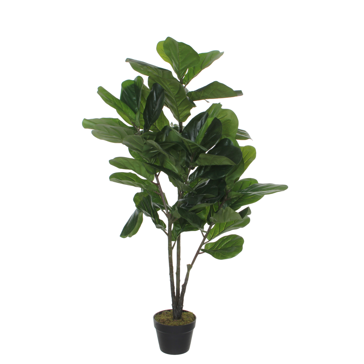 Ficus Lyrata Kunstplant - H120 x Ø60 cm - Groen