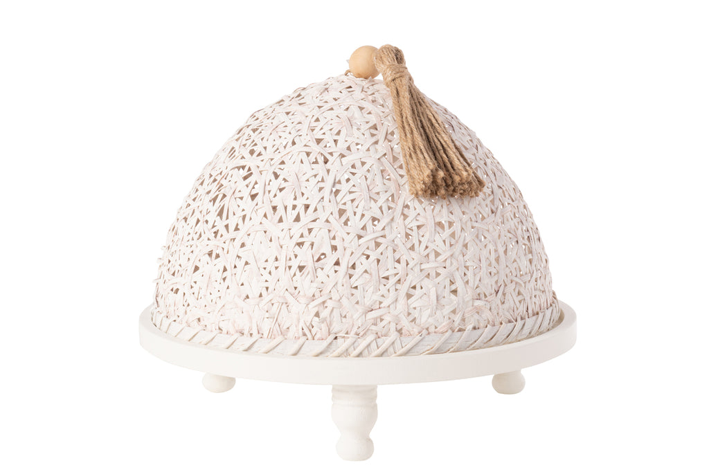 Vliegenkap Food Fir Wood White