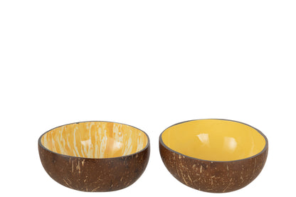 Halve Kokosnoot Bal Nuye Noot/Verf Geel Assortiment Van 2